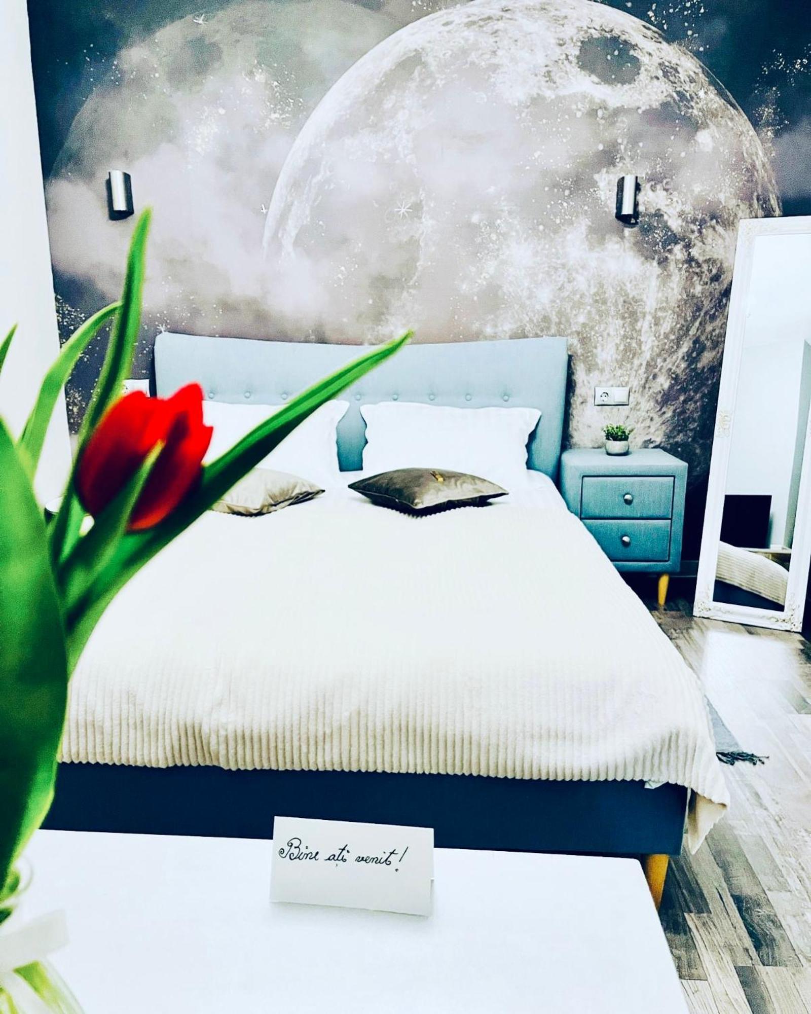 Moon And Sun Apartments Sibiu Luaran gambar