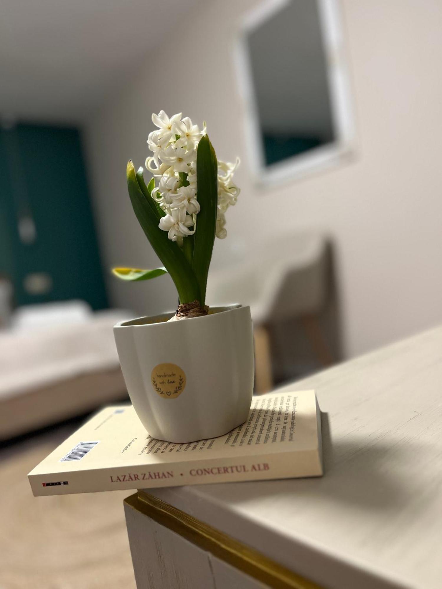 Moon And Sun Apartments Sibiu Luaran gambar