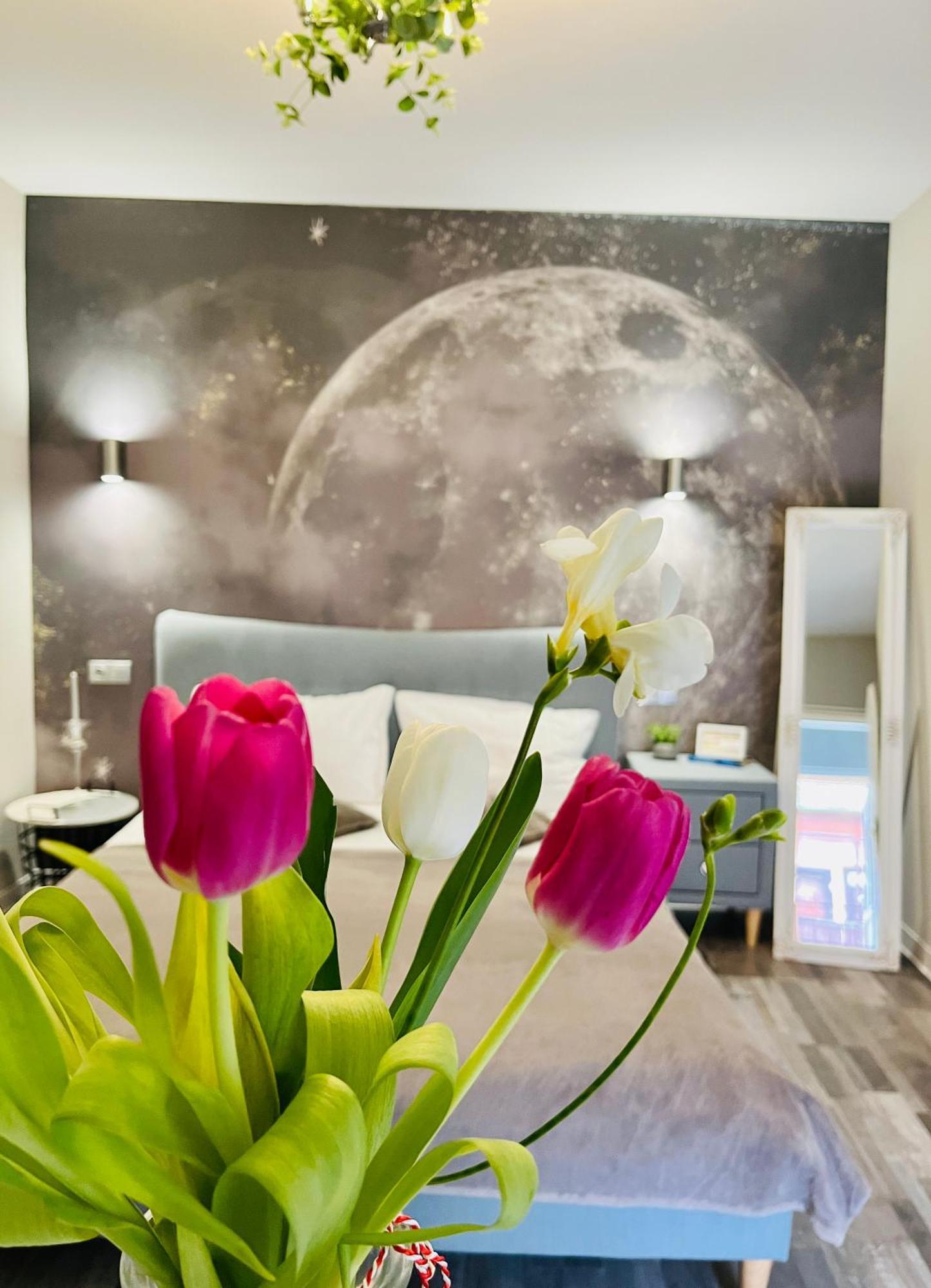 Moon And Sun Apartments Sibiu Luaran gambar