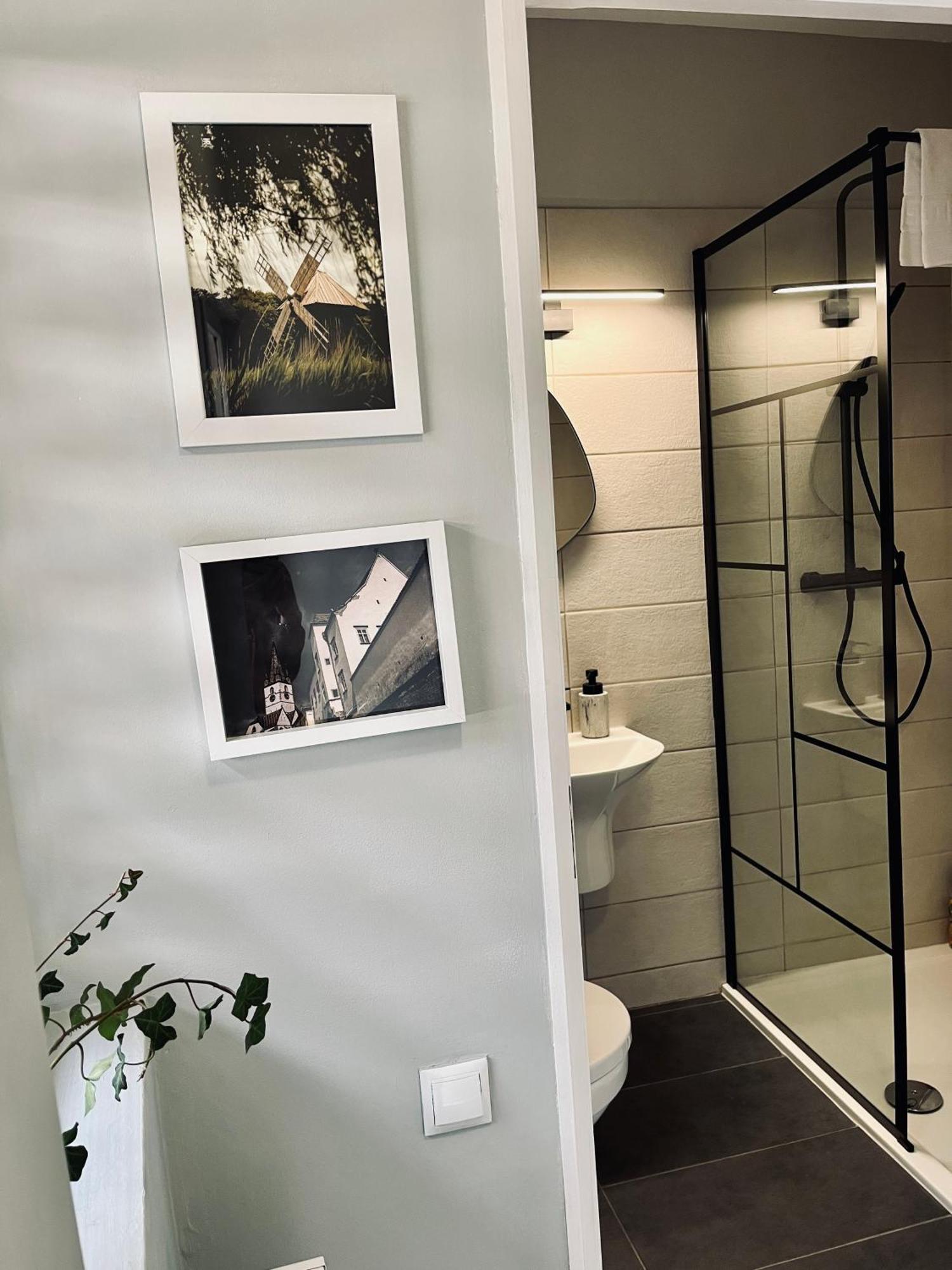 Moon And Sun Apartments Sibiu Luaran gambar