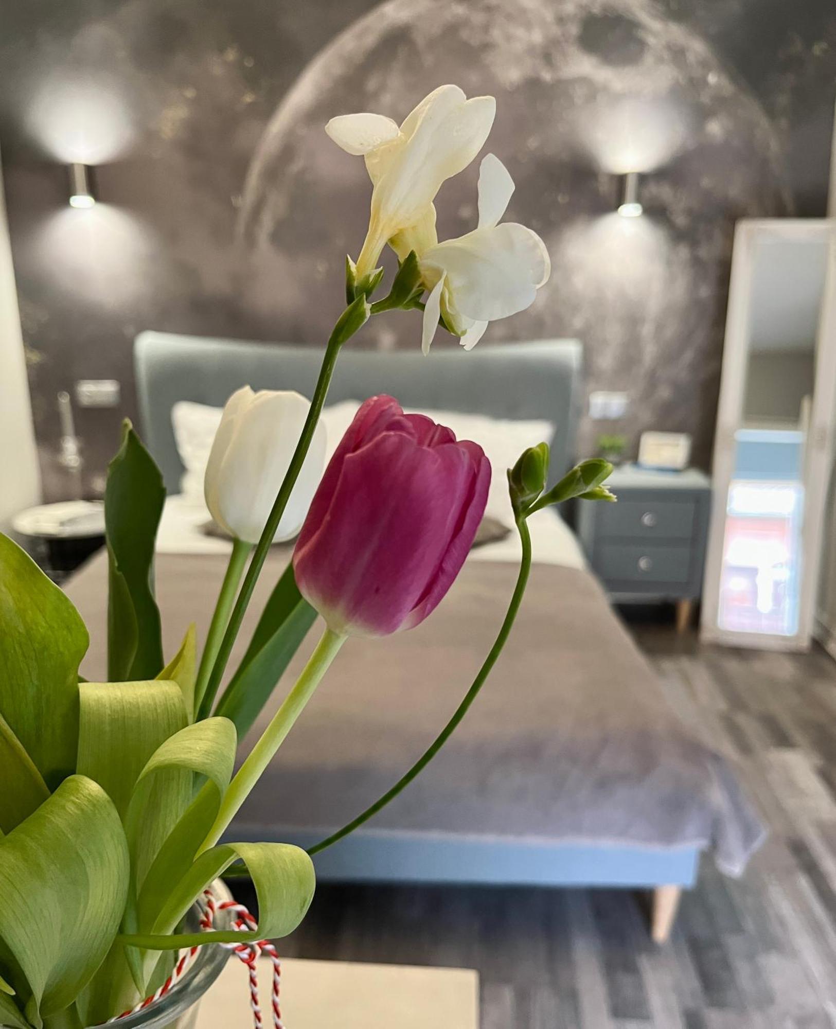 Moon And Sun Apartments Sibiu Luaran gambar