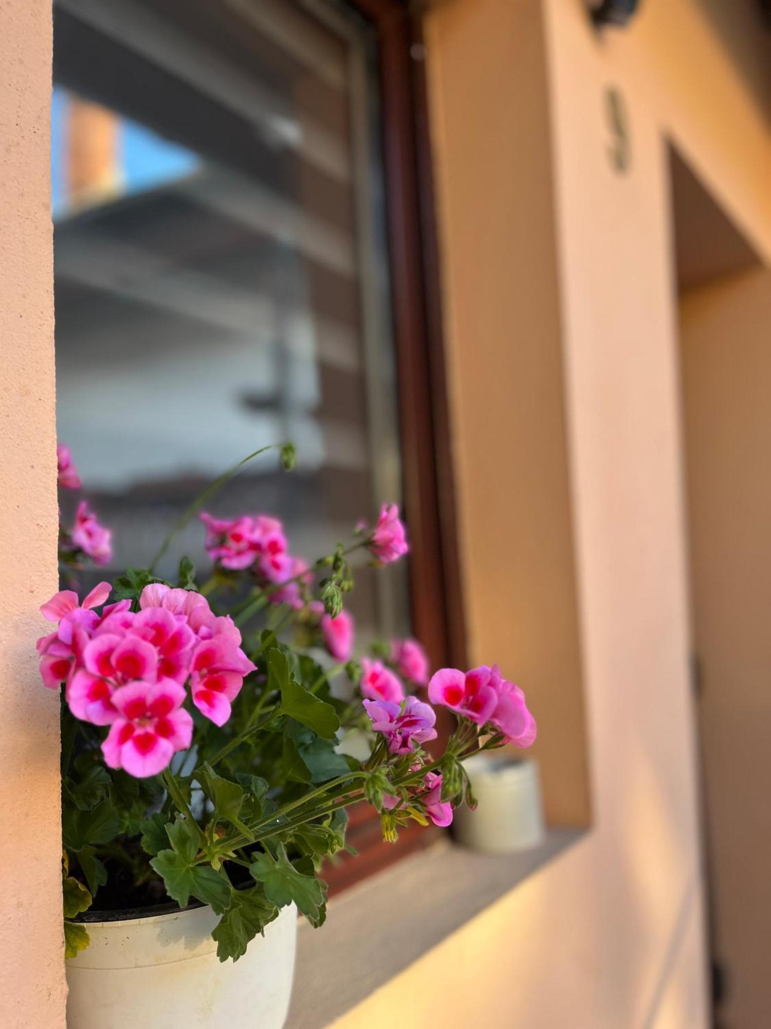 Moon And Sun Apartments Sibiu Luaran gambar