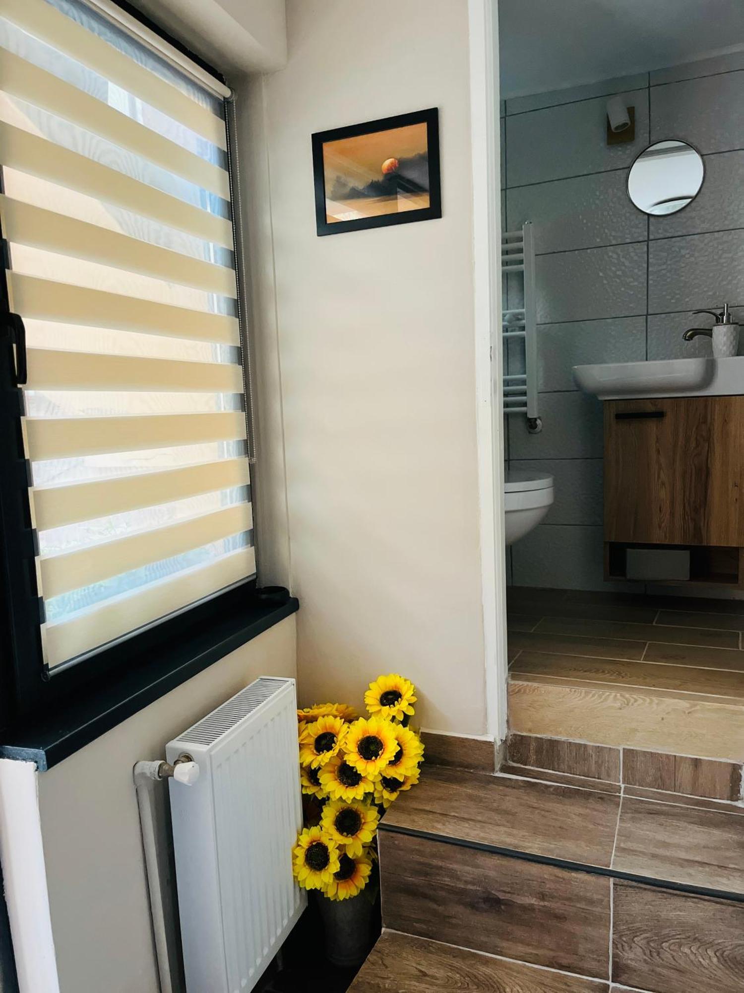 Moon And Sun Apartments Sibiu Luaran gambar